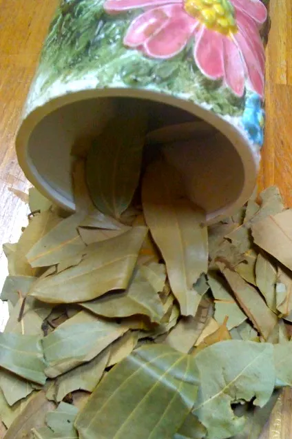 The highly scented dried cassia leaves becomes dull brown when dried. They are tough to grind, so commonly used whole, instead of ground form. They can be used fresh, but the dried ones are most common.