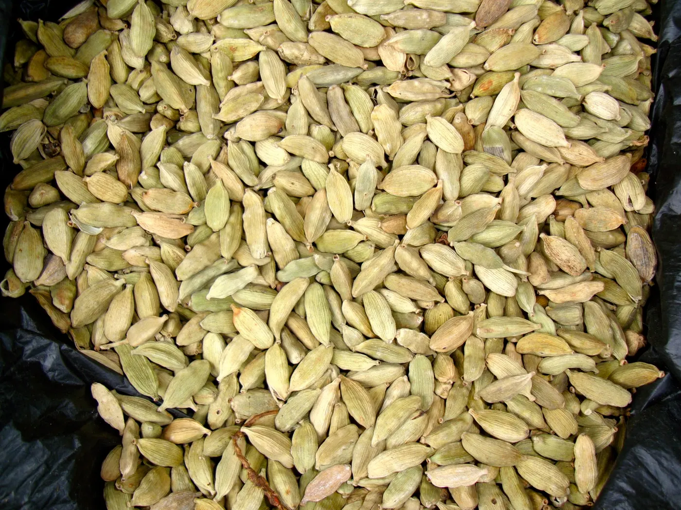Whole Green Cardamom Pods