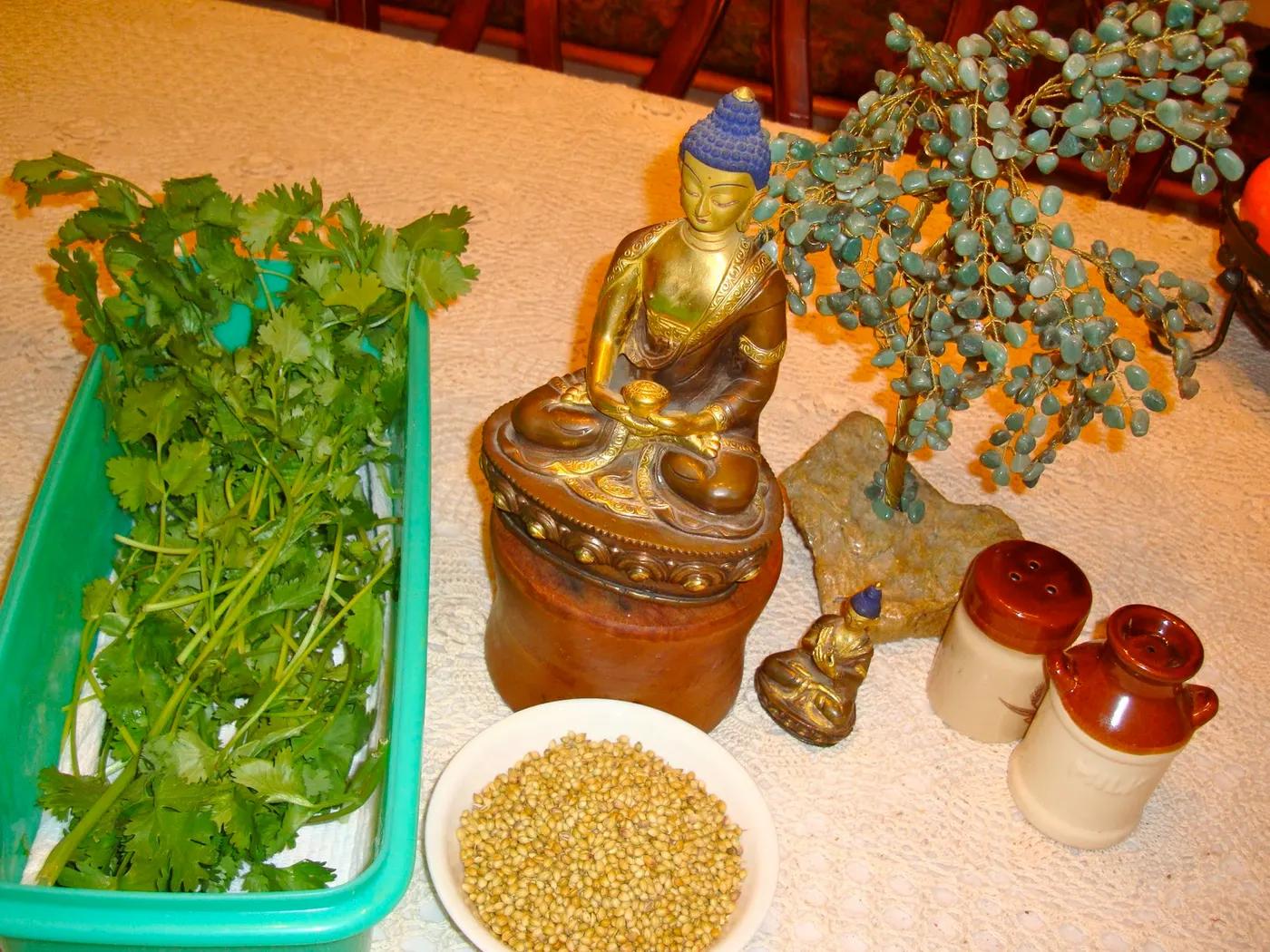 Fresh cilantro leaves, stems and roots can be stored in the refrigerator for up to one week in a container lined with a paper towel.