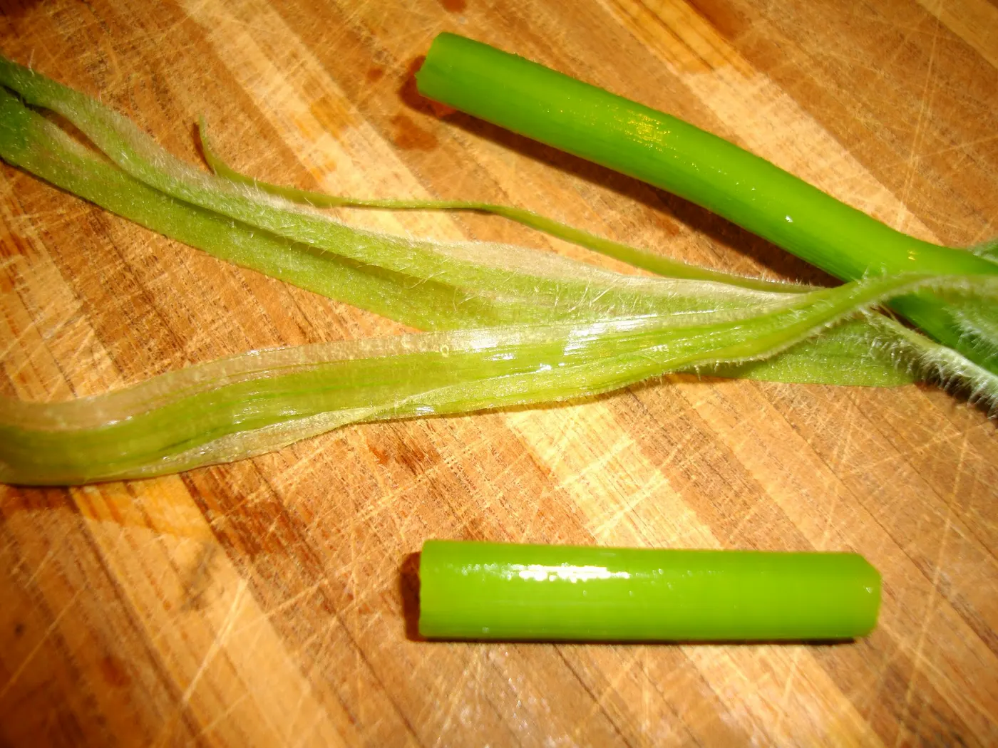 When fuzzy covering is removed from the stem, it is shiny - breaking the stems into 1 1/2 inch pieces.