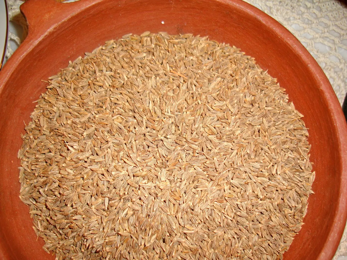 Close-up picture of cumin seeds - Ground cumin has a distinct, strong, and powerful flavor and should be used carefully in measured quantities; otherwise, it may dominate a dish.