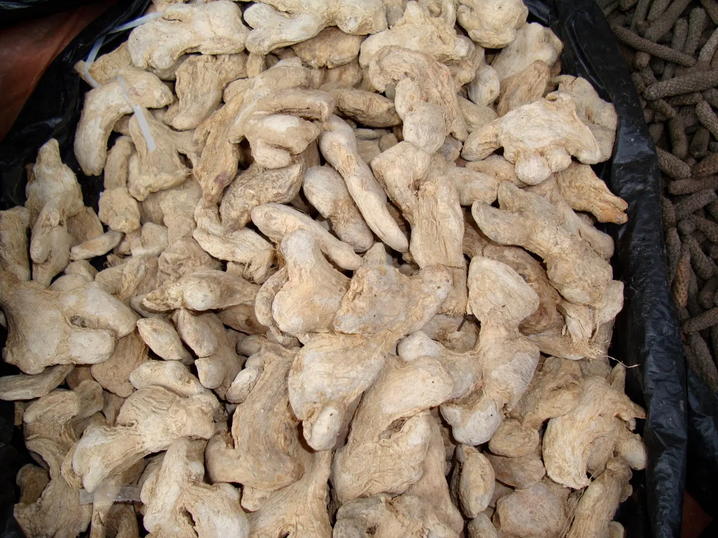 Ginger - Aduwa or Adua - (अदुवा)