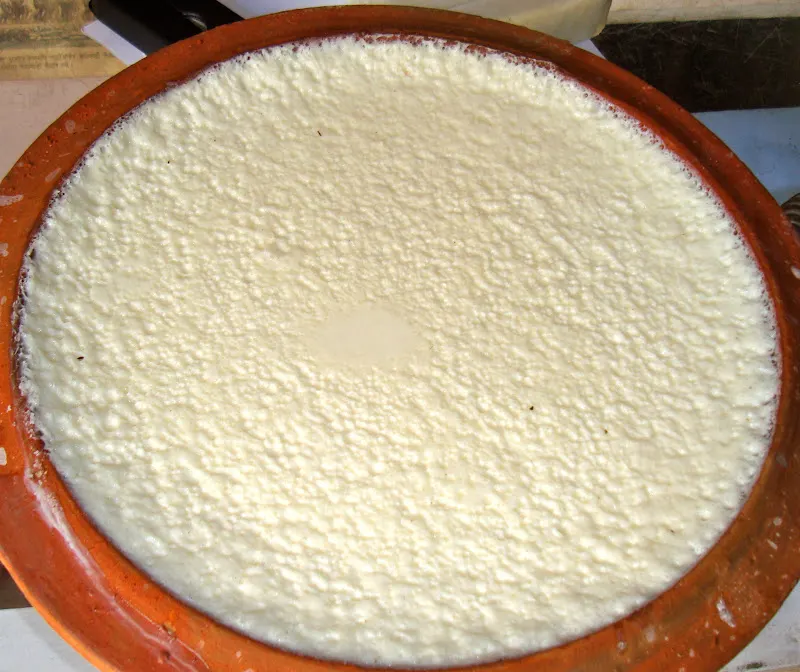 Juju Dhau (The King Yogurt from Bhaktapur, Nepal)