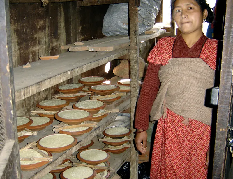 A beautiful lady is placing several freshly made Juju Dhau containers (kataaro) on the shelves. The yogurt will thicken further and will become more delicious, thick and creamy. It is then transported to different places for sale.