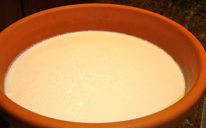 From Jyoti's kitchen - This is my version of Juju Dhau prepared with cow's milk.