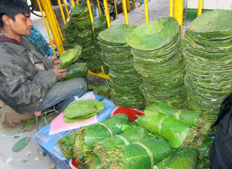 A local store keeper in Asan Tole bazaar, Kathmandu (a busy market for locals) is selling saal leaves. He is stitching together the leaves to create more leaf plates.