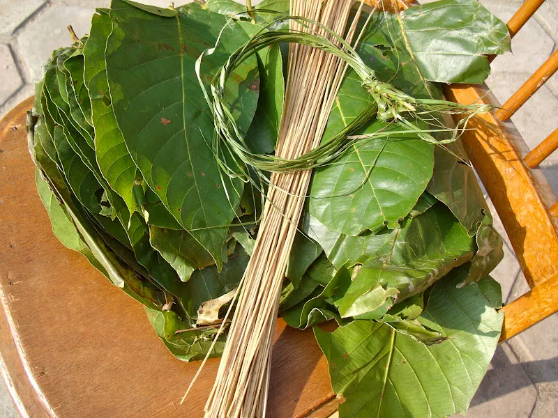 Display of items used in making leaf plates - the thin bamboo sticks in a bundle, fresh leaves and green ropes (sinka, paat, doori).