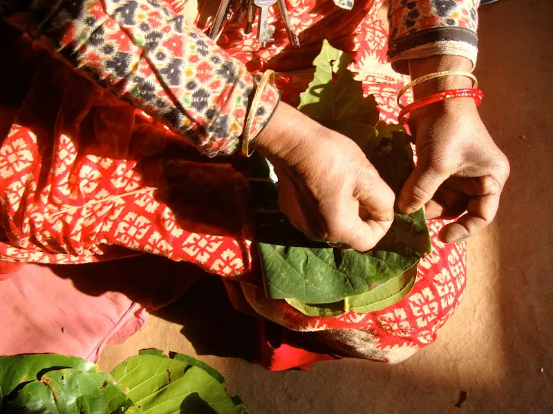 Leaf Plates of Nepal (Tapari, Duna, Bota)
