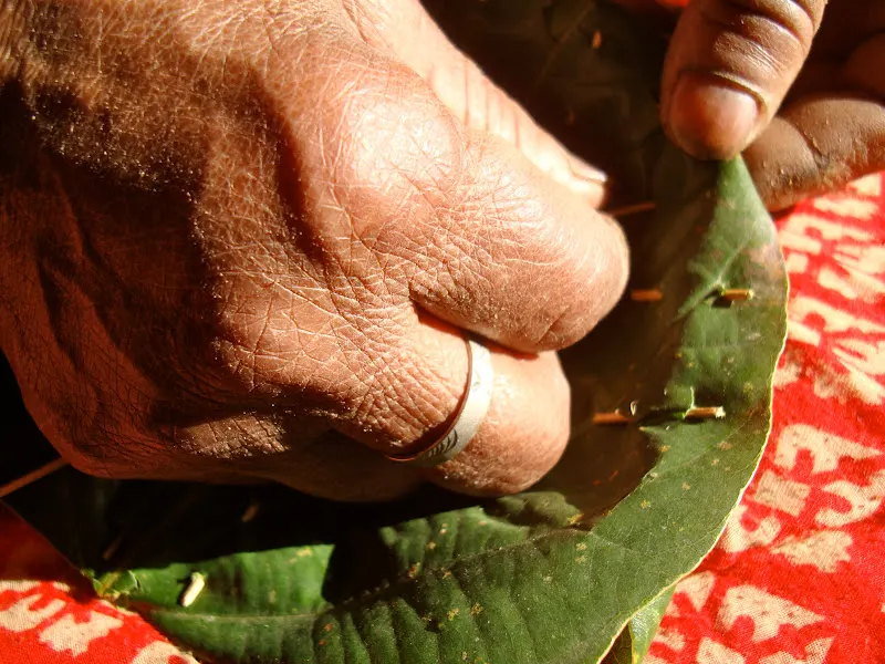 Leaf Plates of Nepal (Tapari, Duna, Bota)