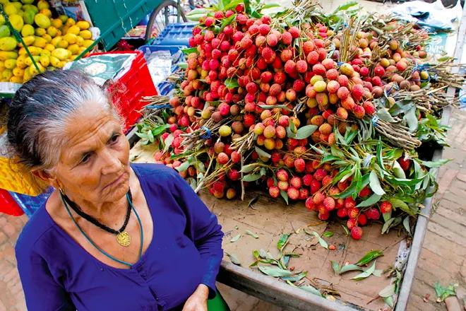 A Nepali road side vendor prepares to sell her freshly picked lichee fruit.