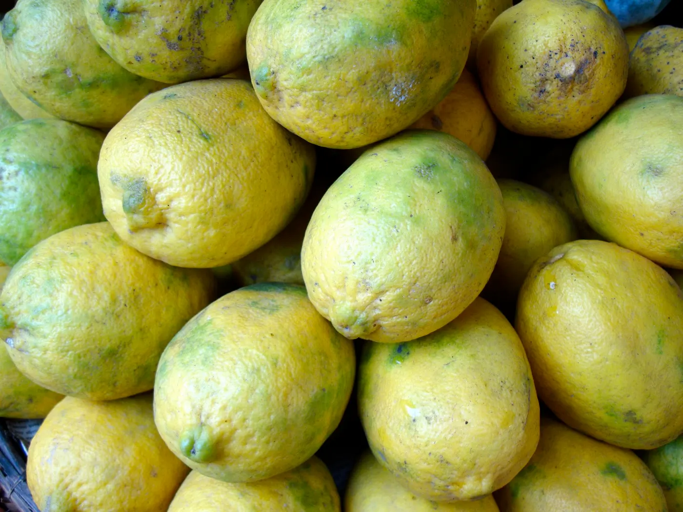 Lemon (Nibuwa)