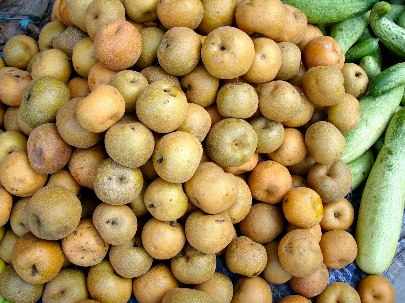 Pear (Nashpaati)