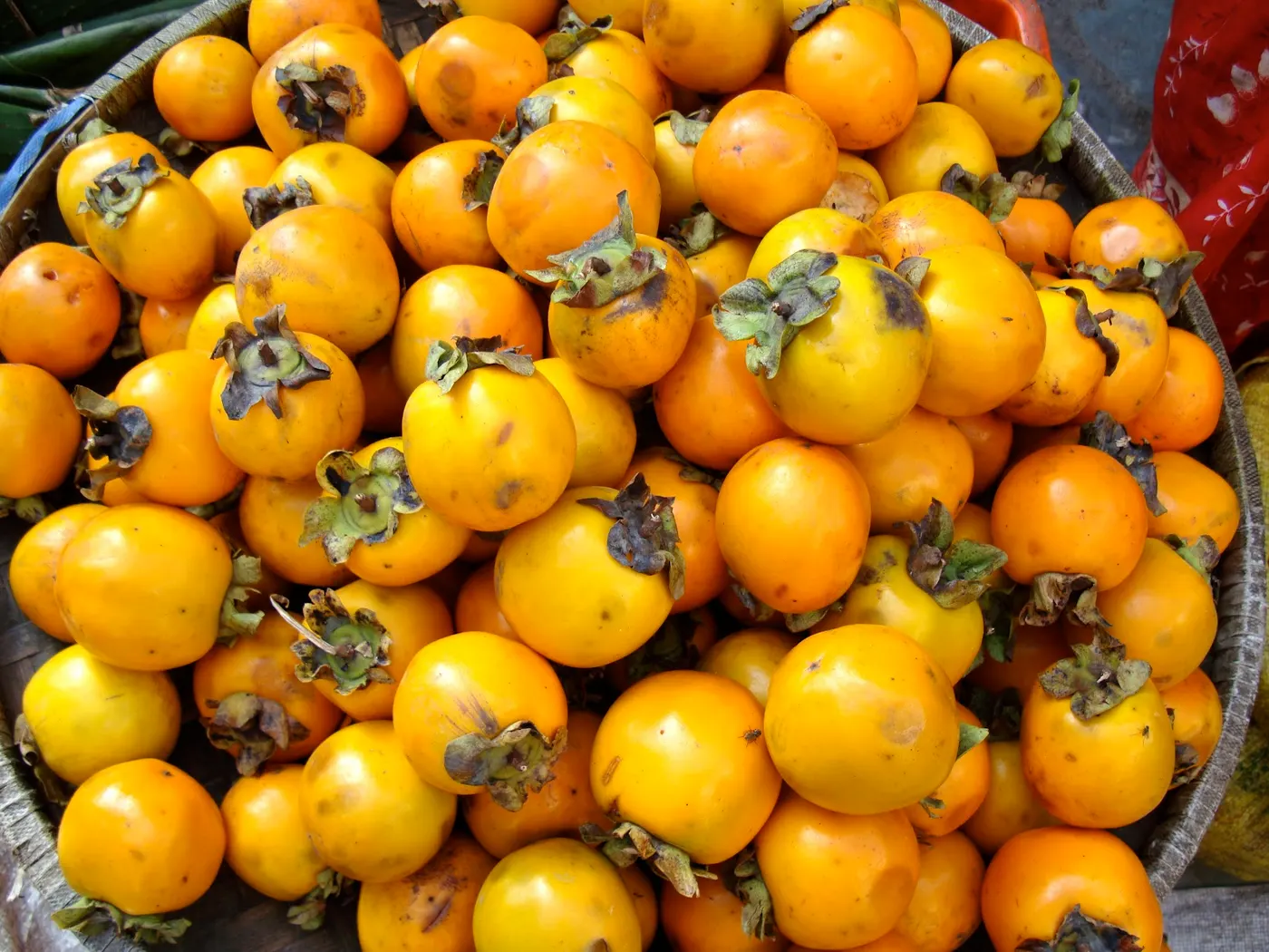 Persimmon - (Haluabed)