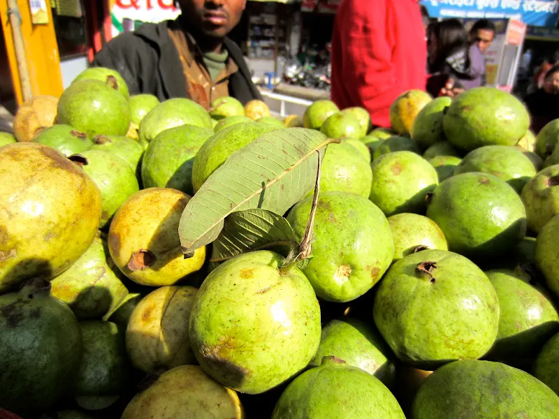 Guava - (Ambaa or Ammaa)