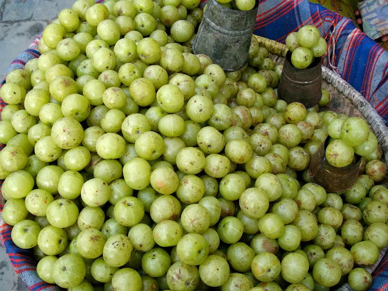 Gooseberry, the medicinal fruit - (Amalaa)
