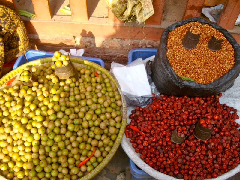 Indian Gooseberry - (Amalaa), Red Bayar and Sati Bayar in the back – Pleasantly sour-sweet tiny fruit.