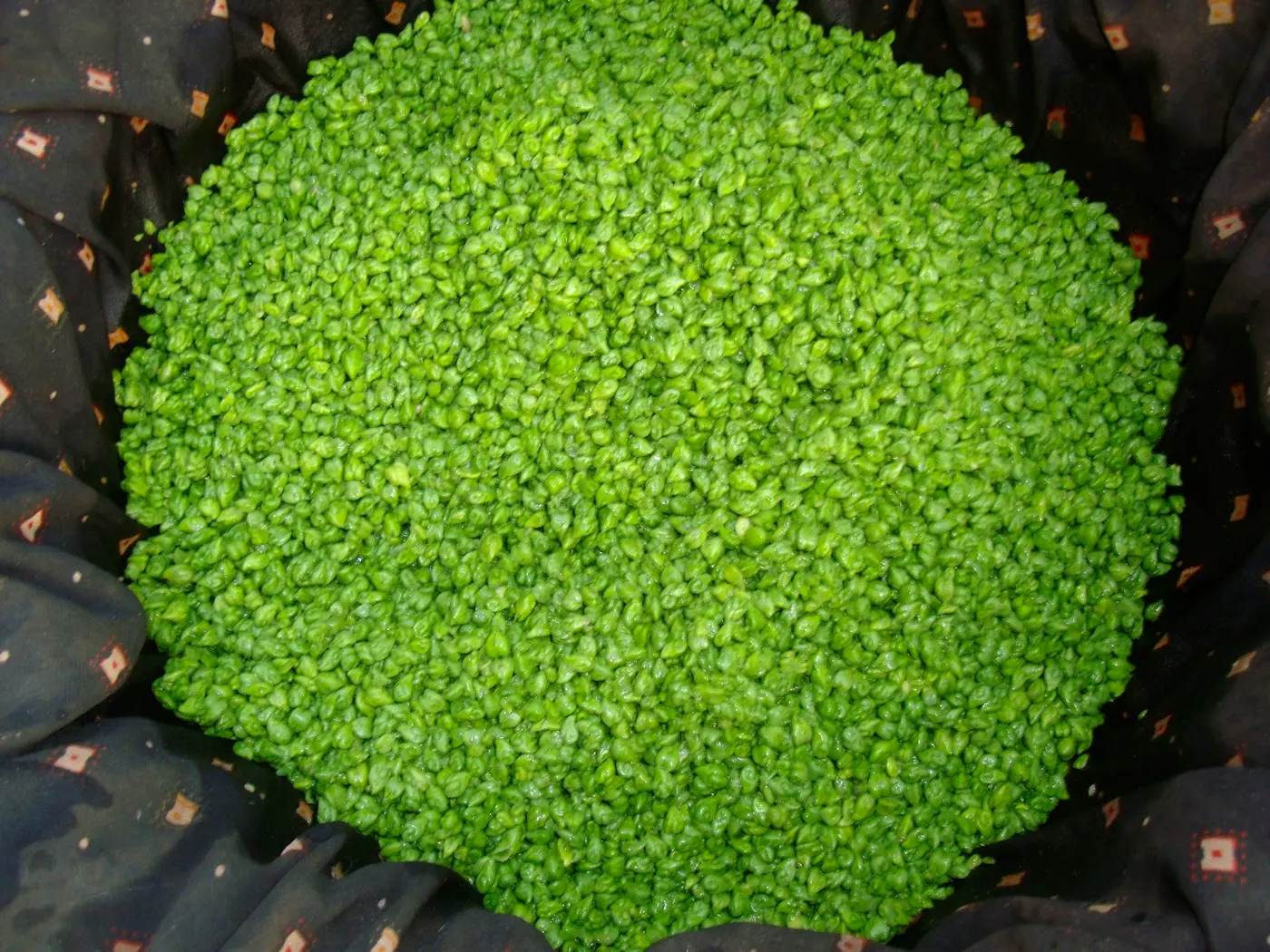Shelled Fresh Green Chickpeas - Hariyo Chana
