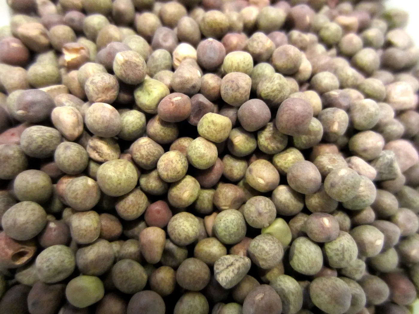 Close up look - Small Variety of Field Peas - Sukeko Hariyo Saano Kerau
