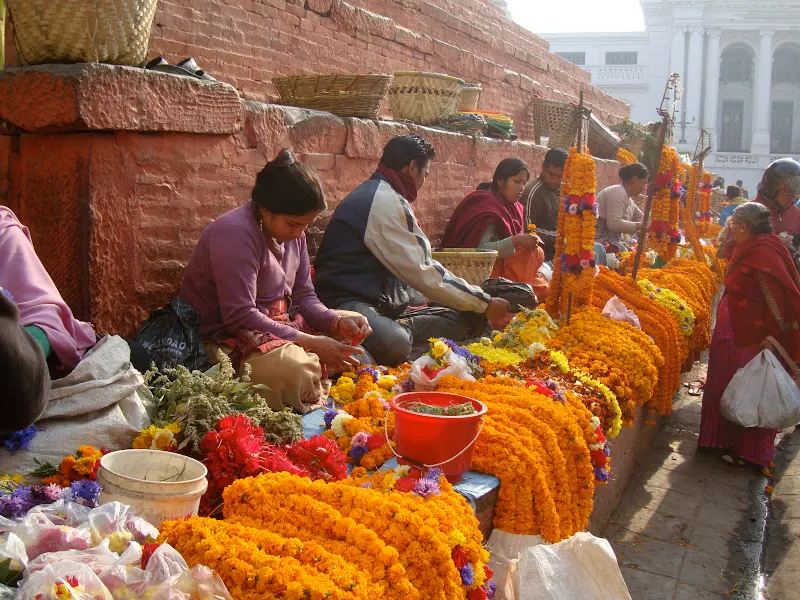 Walking around Hanuman-Dhoka, Durbar Square Area, Kathmandu (World Heritage Site - Monument Zone) and taking pictures of marigold flowers garland vendors.