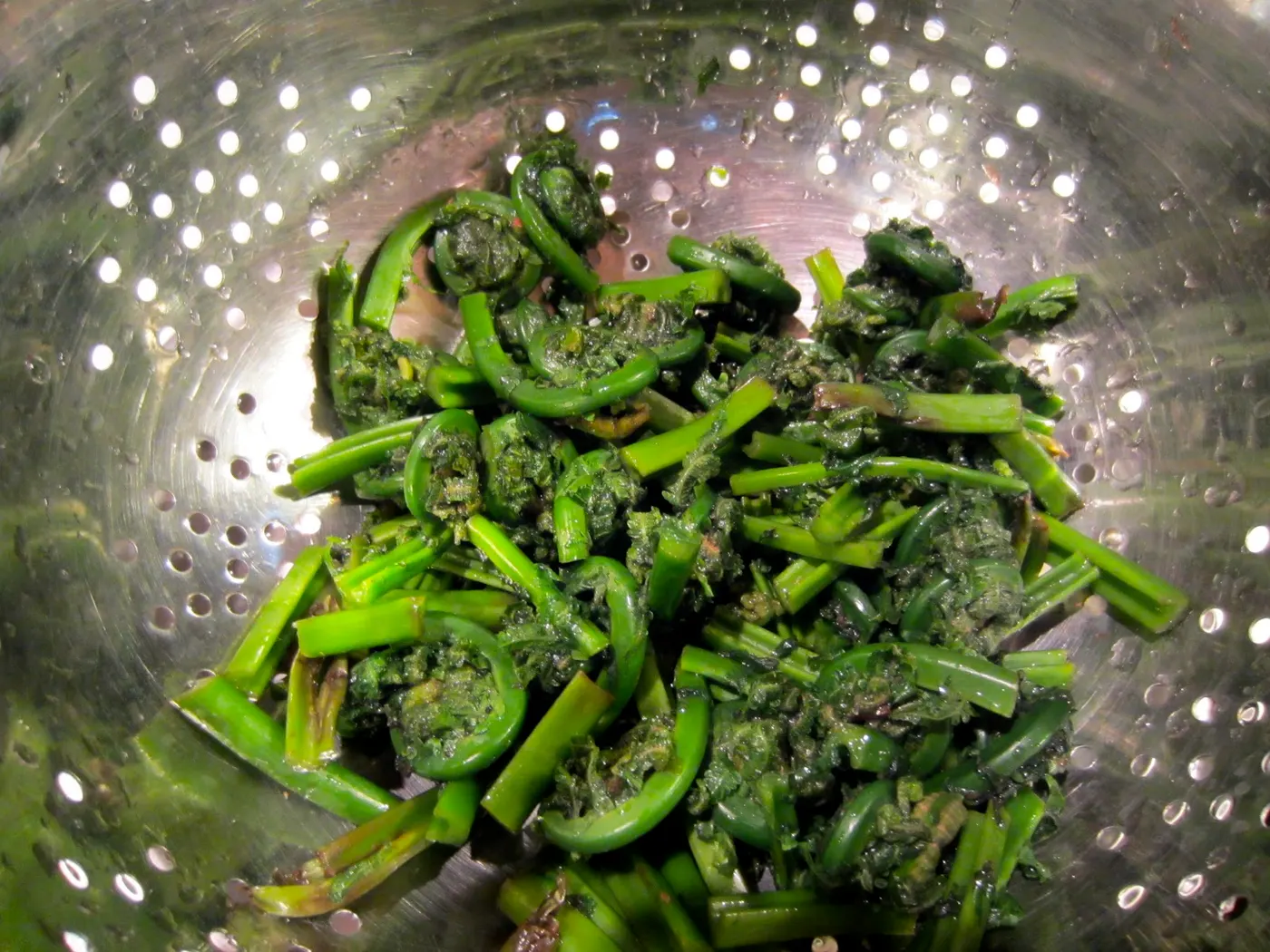 Fiddlehead Fern - Neuro, Niuro (नीयूरो)