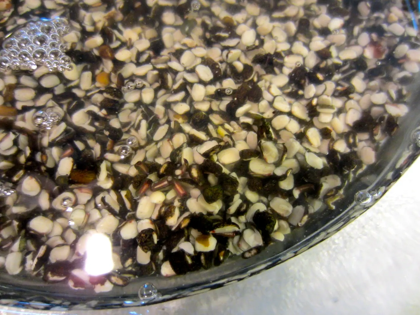 In a large bowl, wash and soak beans for at least 6 hours or overnight, until doubled in volume.
