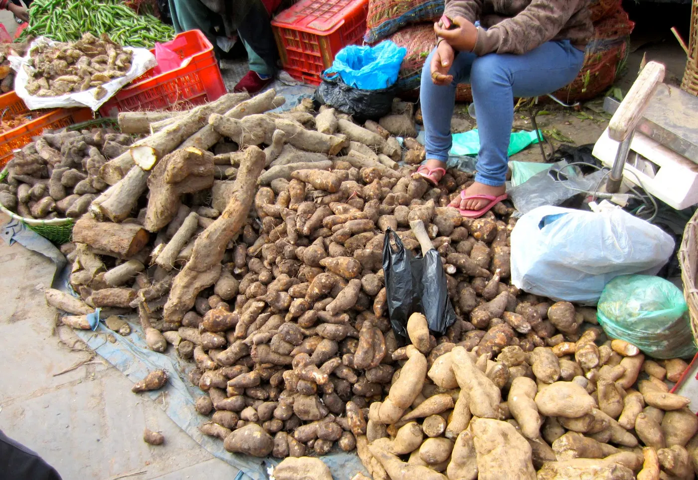 Karkalo-Gaava-Pidhaalu - Taro (कर्कलो-गाभा-पिँडालु)