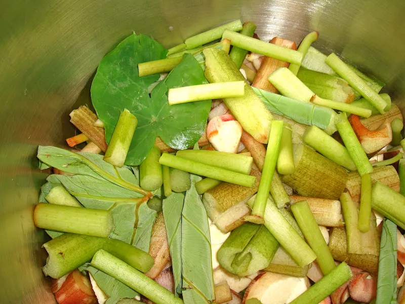 Karkalo-Gaava-Pidhaalu - Taro (कर्कलो-गाभा-पिँडालु)