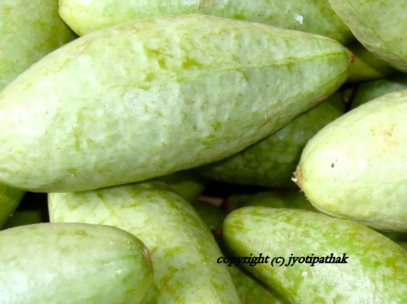 Parvar - परवर - (Pointed Gourd)