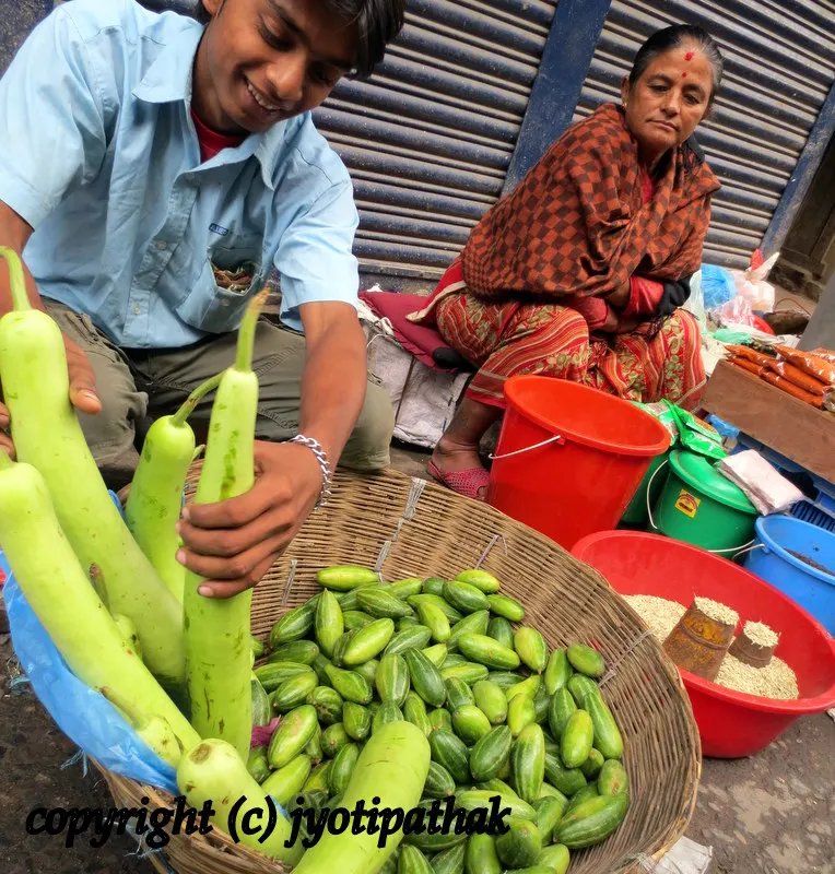Parvar - परवर - (Pointed Gourd)