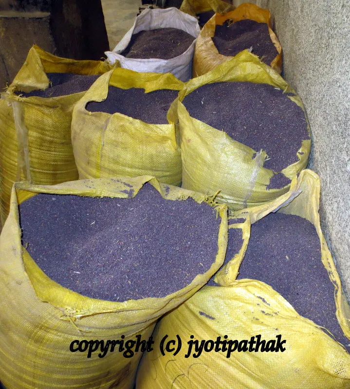 Another room full of more Mustard seeds in yellow plastic sacs, already cleaned and ready to be poured into the machine.