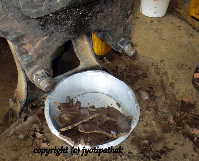 When the seeds are processed into oil, a by-product is obtained which is called mustard seed pressed cake and Peena in Nepali.