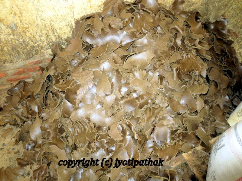The by-product of the oil left in the floor of the mill is in high in demand. They were selling for Rs 28.00 per kilo.