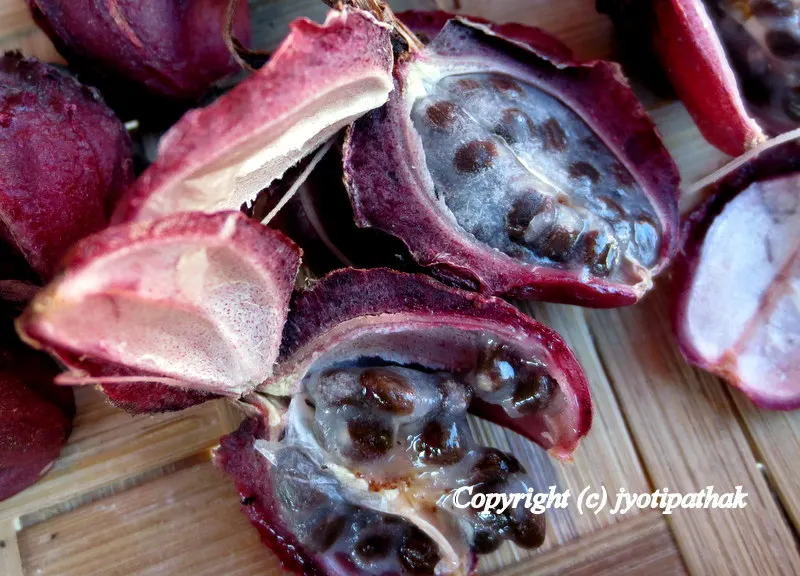 Black Cardamom - Alainchi