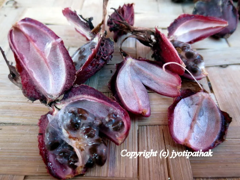 Black Cardamom - Alainchi