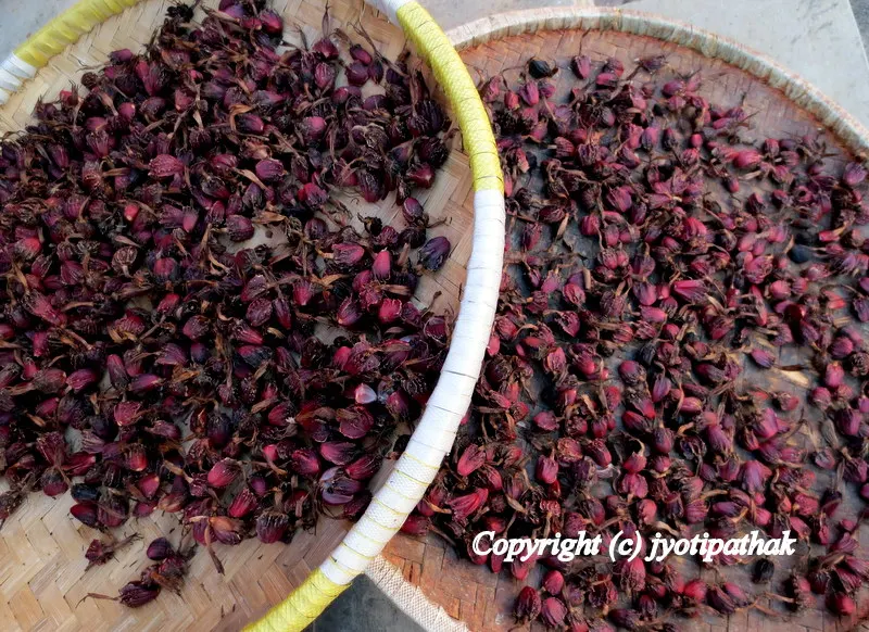 In the above picture, fresh reddish-brown cardamom is being sun-dried in a round multipurpose nanglo, which is a circular tray made out of bamboo.