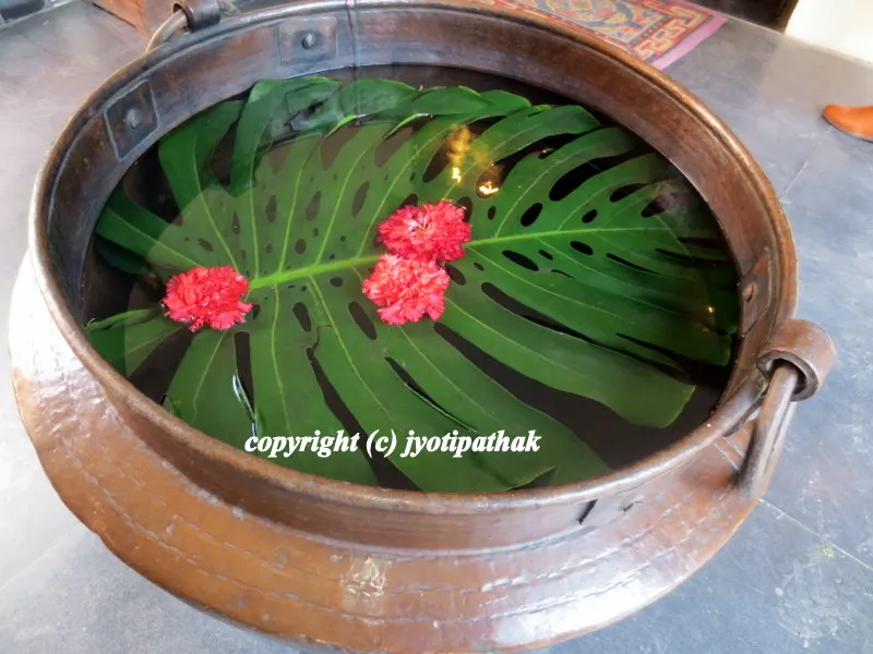 Large and wide antique copper khadkalo pot with floating leaves and stunning carnation welcomes you!