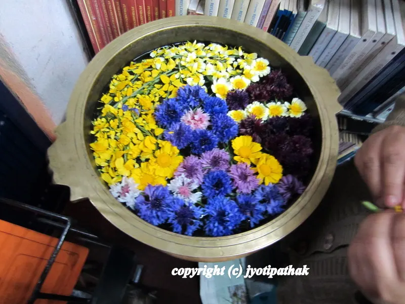... creating such a beautiful work of art! Nature, water and tranquility right in the floating bowl.