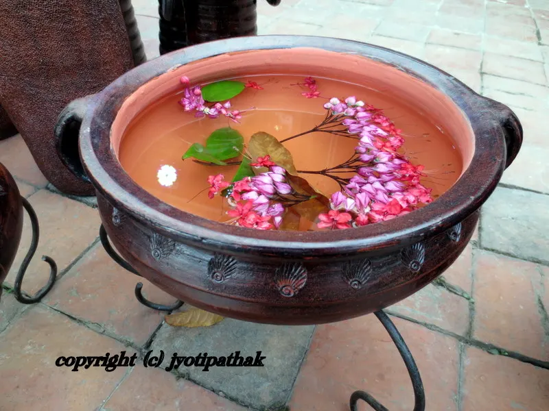 ... show-stopper display ... "Aaaha kasto Raamro" from the visitors - enjoy the little things in life!