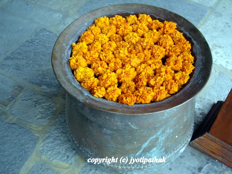 ... the highly sought after and cherished flower Marigold floating in an antique looking copper pot ...
