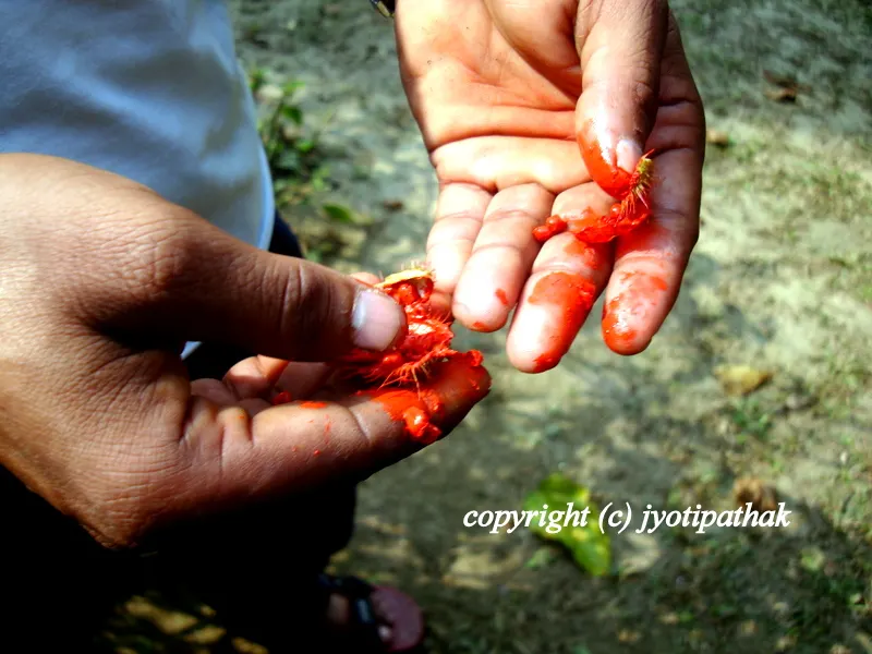 The red-orange die is staining the fingers and hand...