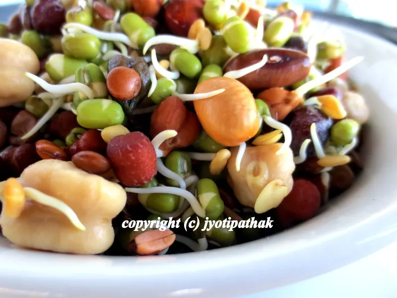 Colorful array of homemade sprouted beans
