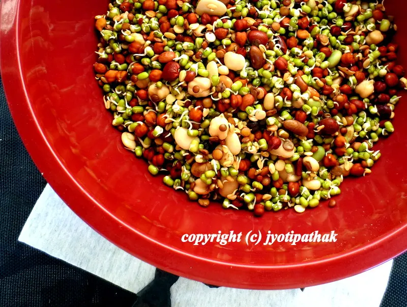 Kwaanti - क्वाँटी - Sprouted Bean Soup