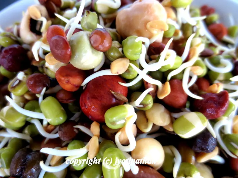 Kwaanti - क्वाँटी - Sprouted Bean Soup