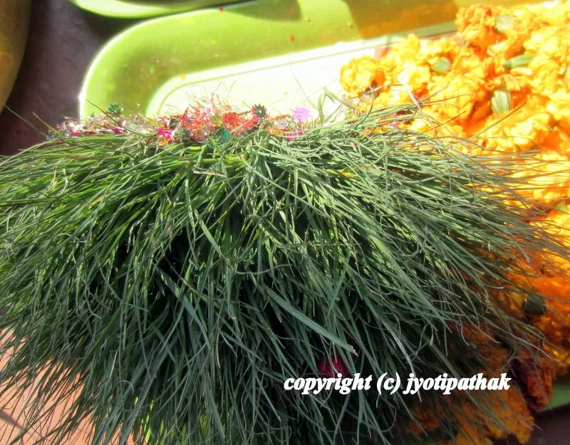 Dubo Grass Garland - (हरियो दुबो घास को माला)