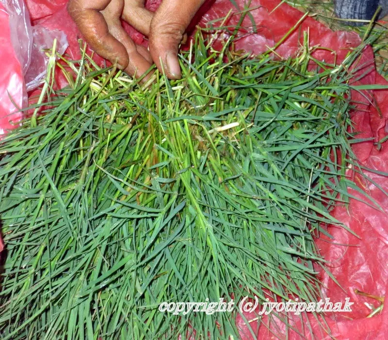 A large amount of bulk dubo grass has arrived to the florist wrapped in a plastic bag from a nearby warm (Terai) region of Nepal. The grass is kept in a cooler spot, away from direct sun light to avoid wilting and getting dried up.