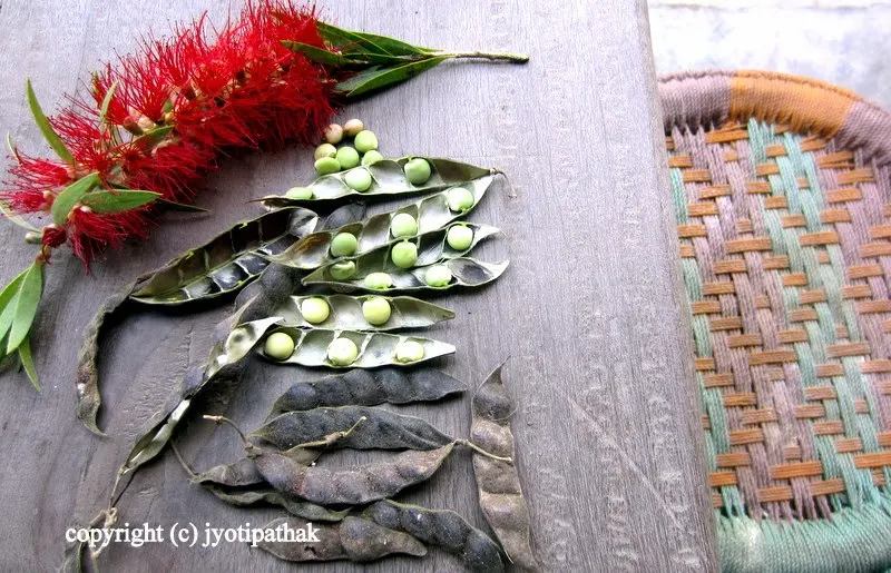 Rahar ko Daal – split yellow pigeon peas (without skins)