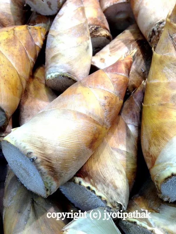 Cone shaped bamboo shoots with brown husks