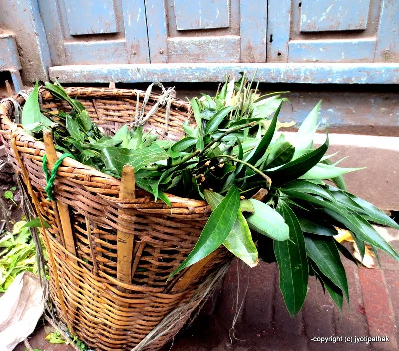 Just picked, fresh cassia leaves in a wicker basket (doko) for sale at local Nepali market