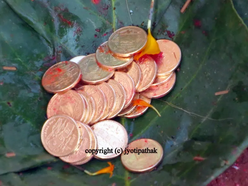 Dakshinaa (दक्षिना), the auspicious coin or blessed money - used as a gift during tikaa ceremony