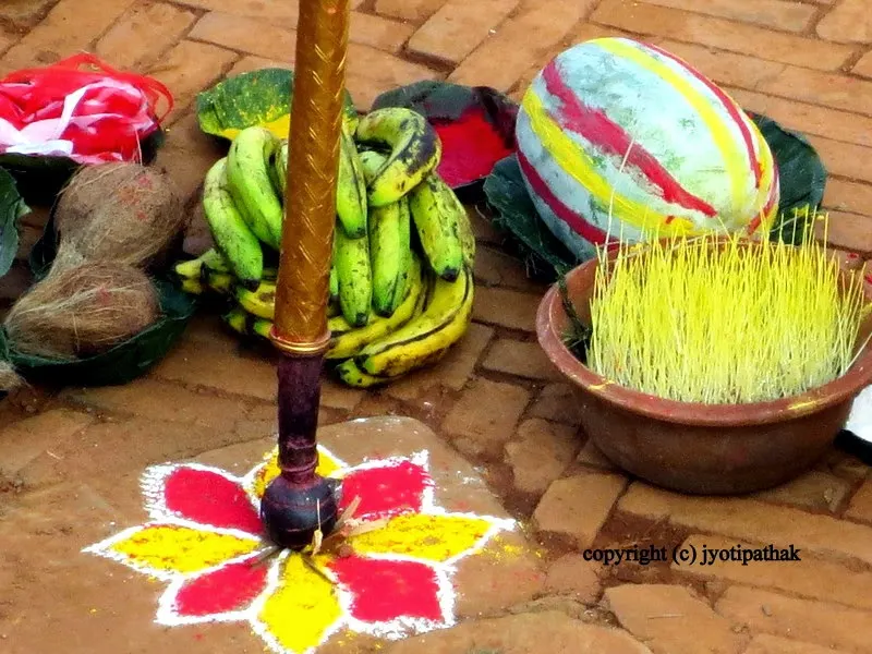 At Kot courtyard (near Hanuman Dhoka) in Kathmandu - a large pot of freshly sprouted jamaraa along with other sacred offerings is ready for Dashain festival celebration